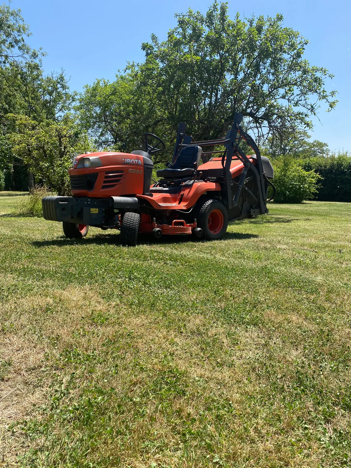 abattage d arbre sainte gauburge sainte colombe
