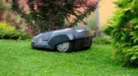 élagueur à Gacé - image 2