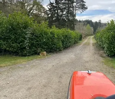 élagueur à Gacé - image 4