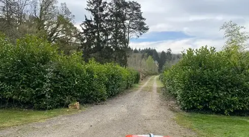 élagueur à L'Aigle - image 2