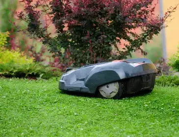 élagueur à L'Aigle - image 3