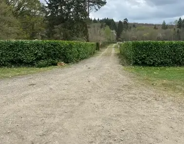 élagueur à L'Aigle - image 4