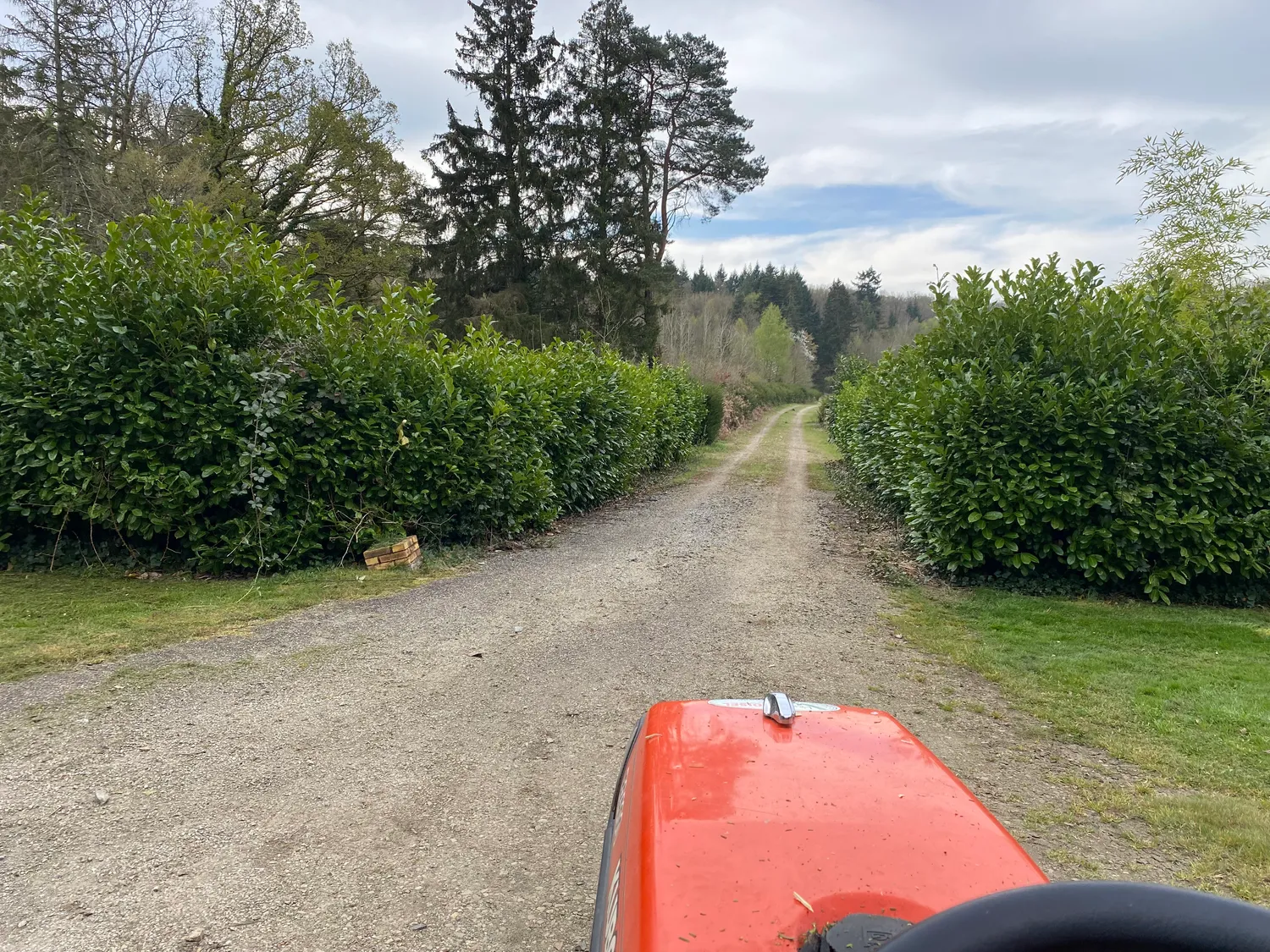 elagueur la ferte en ouche