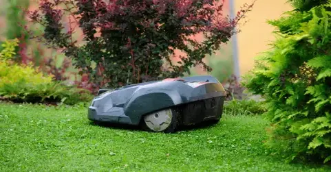 élagueur Saint-Symphorien-des-Bruyères-1