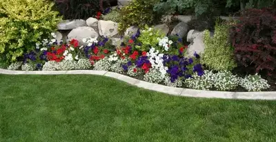 élagueur à Saint-Symphorien-des-Bruyères - image 2