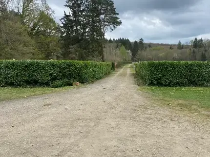 élagueur à Saint-Symphorien-des-Bruyères - image 3