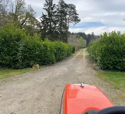 location de robot tondeuse à L'Aigle - image 2