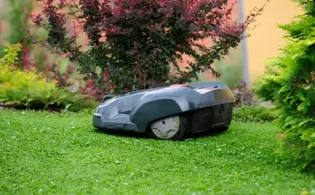 location de robot tondeuse à L'Aigle - image 3