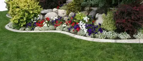 location de robot tondeuse à L'Aigle - image 4