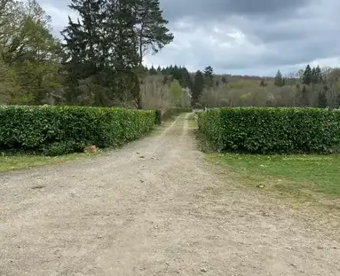 paysagiste à Gacé - image 2