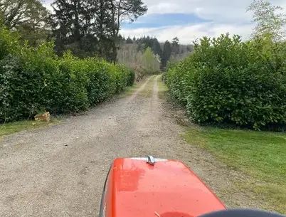 paysagiste à L'Aigle - image 2