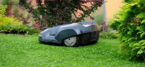 paysagiste à L'Aigle - image 3