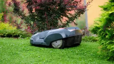 paysagiste Saint-Symphorien-des-Bruyères-1