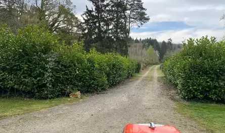 paysagiste Saint-Symphorien-des-Bruyères-5